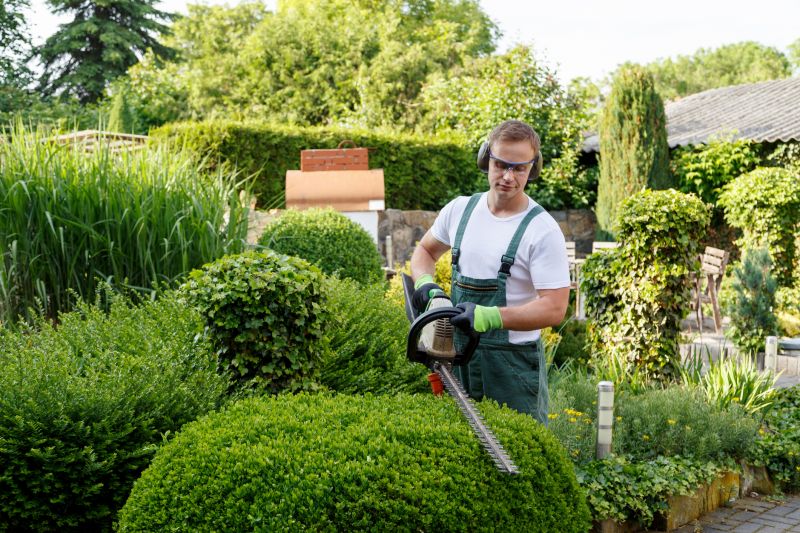 Local Garden Maintenance