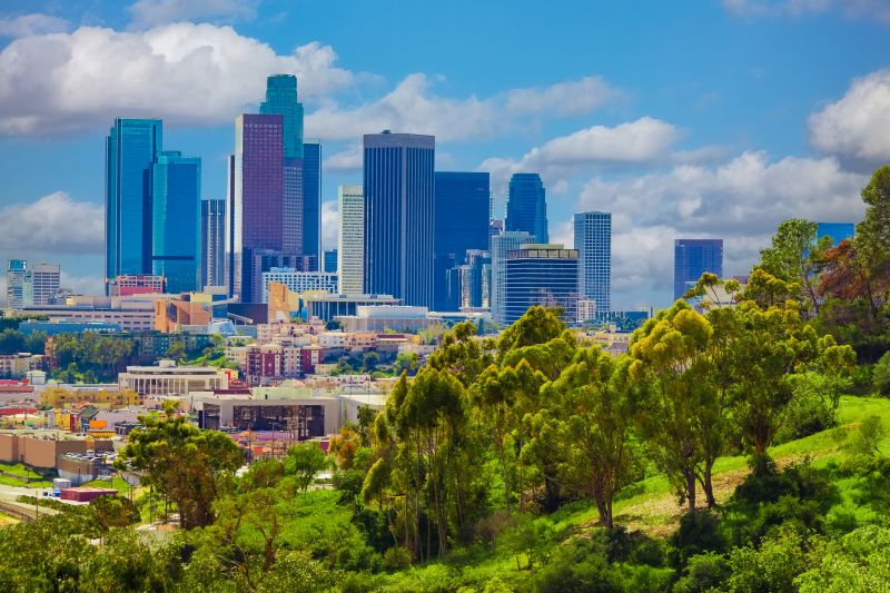Hedge Installation in Los Angeles, CA