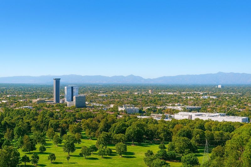 Shrub Replacement in Burbank, CA