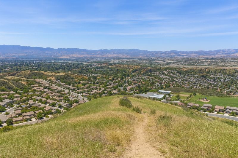 Shrub Replacement in Santa Clarita, CA