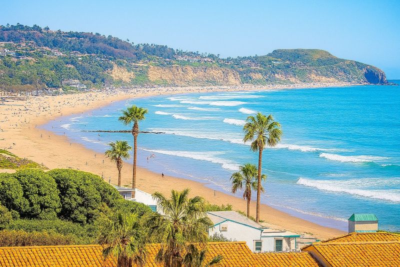 Shrub Replacement in Malibu, CA