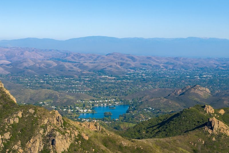 Shrub Replacement in Calabasas, CA